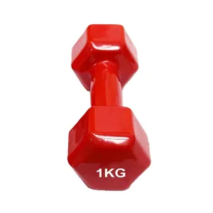 1 Piece Vinyl Dumbbell Red