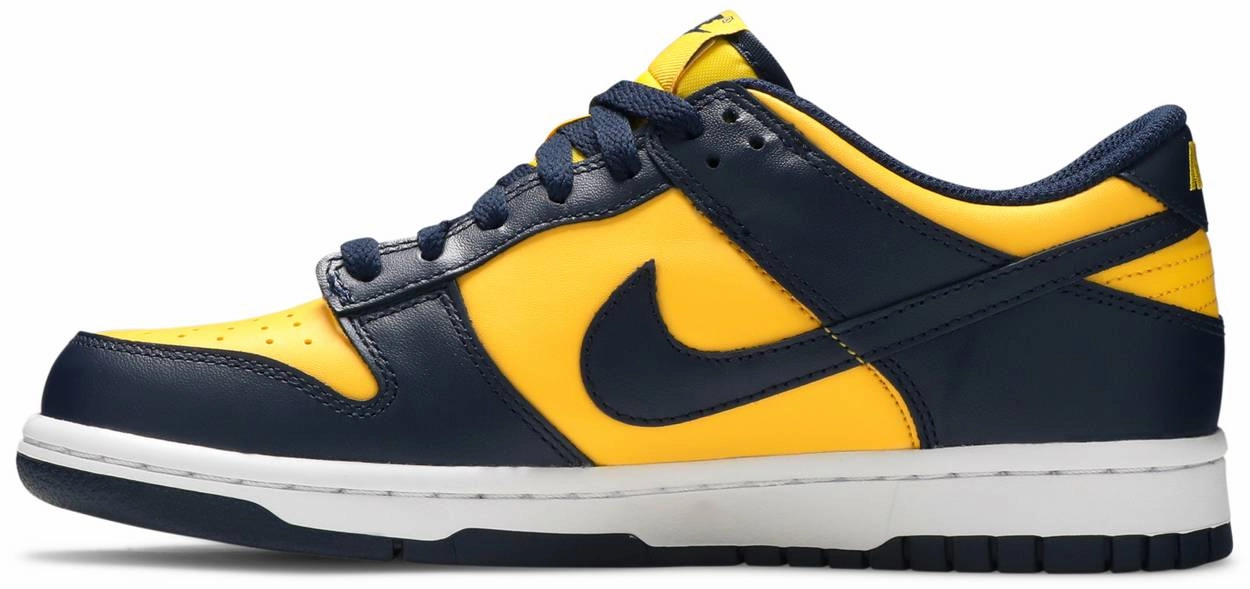 Nike Dunk Low Michigan GS Soccer Field carbon fiber shank