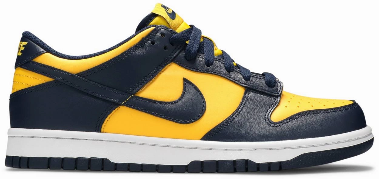 Hygienic Footbed Coating Nike Dunk Low Michigan GS