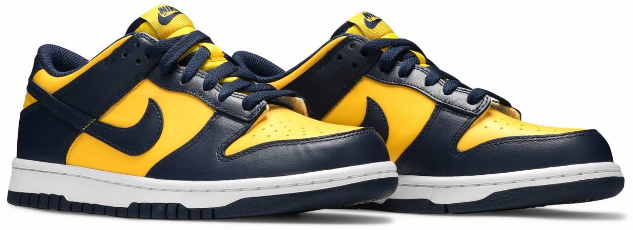 Functional Day Nike Dunk Low Michigan GS