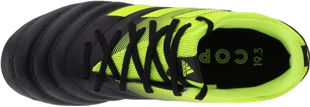 adidas Unisex-Child Copa 19.3 Firm Ground Soccer Shoes