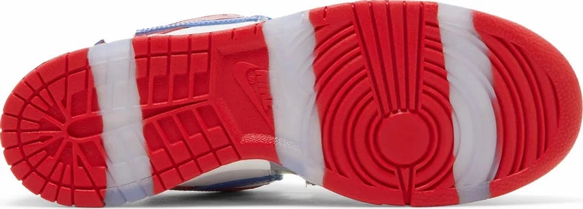 Energy return Recycled Polyester Blend Nike Dunk Low SB Sandy Bodecker (eBay)