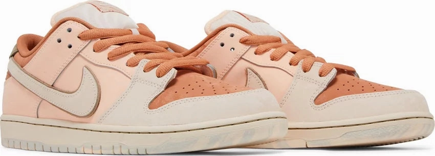 Nike Dunk Low SB Trocadro Gardens Indoor Wear Steady Form