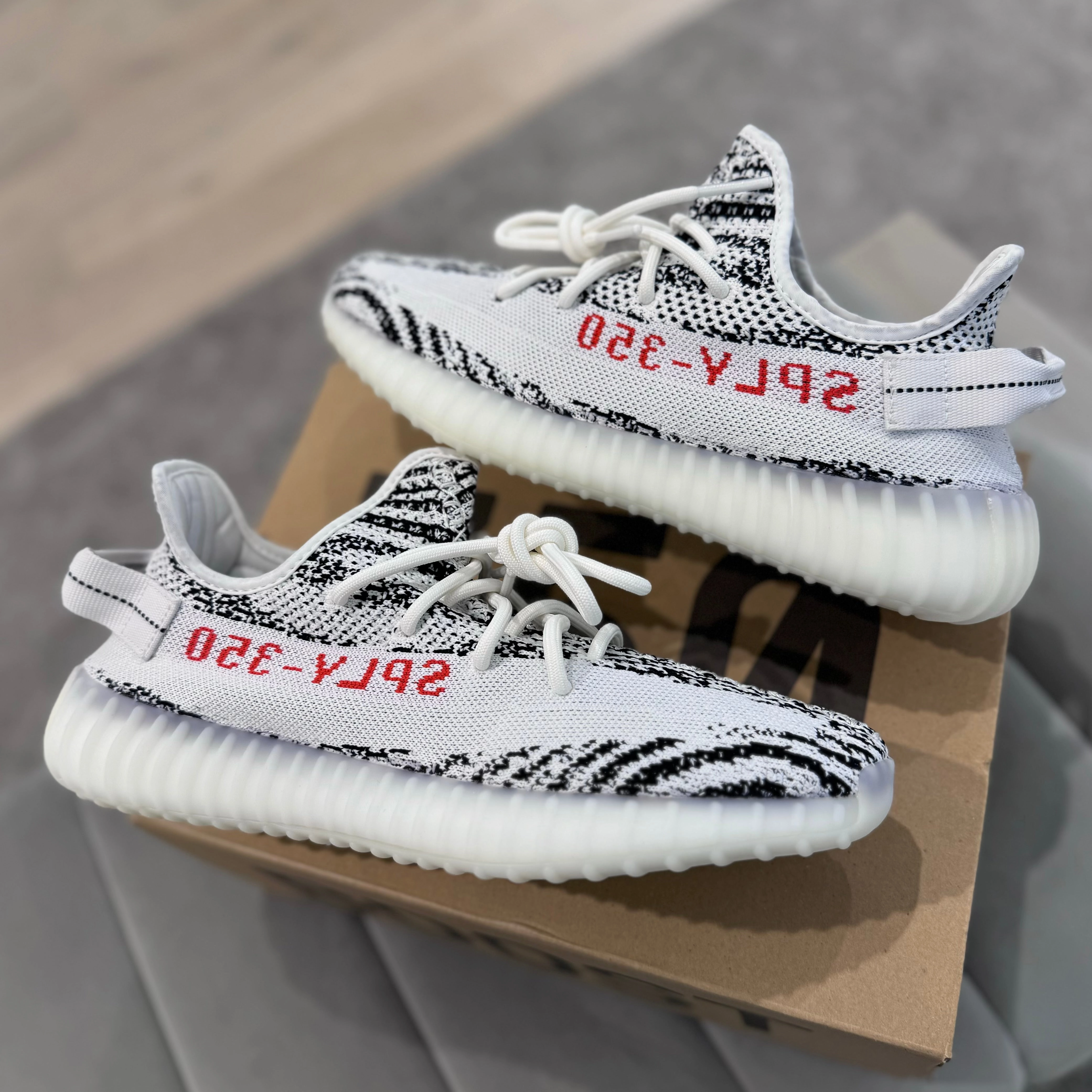 YEEZY 350 V2 'ZEBRA' morning run