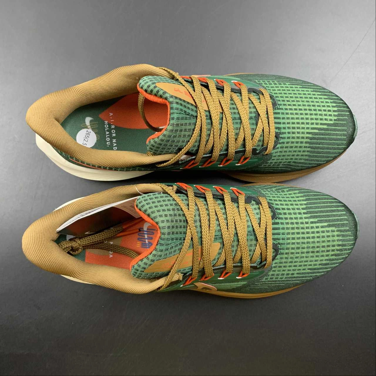 Stability control Air Zoom Pegasus 39 A.I.R. HOLA LOU Gorge Green Ale Brown DO9500-300