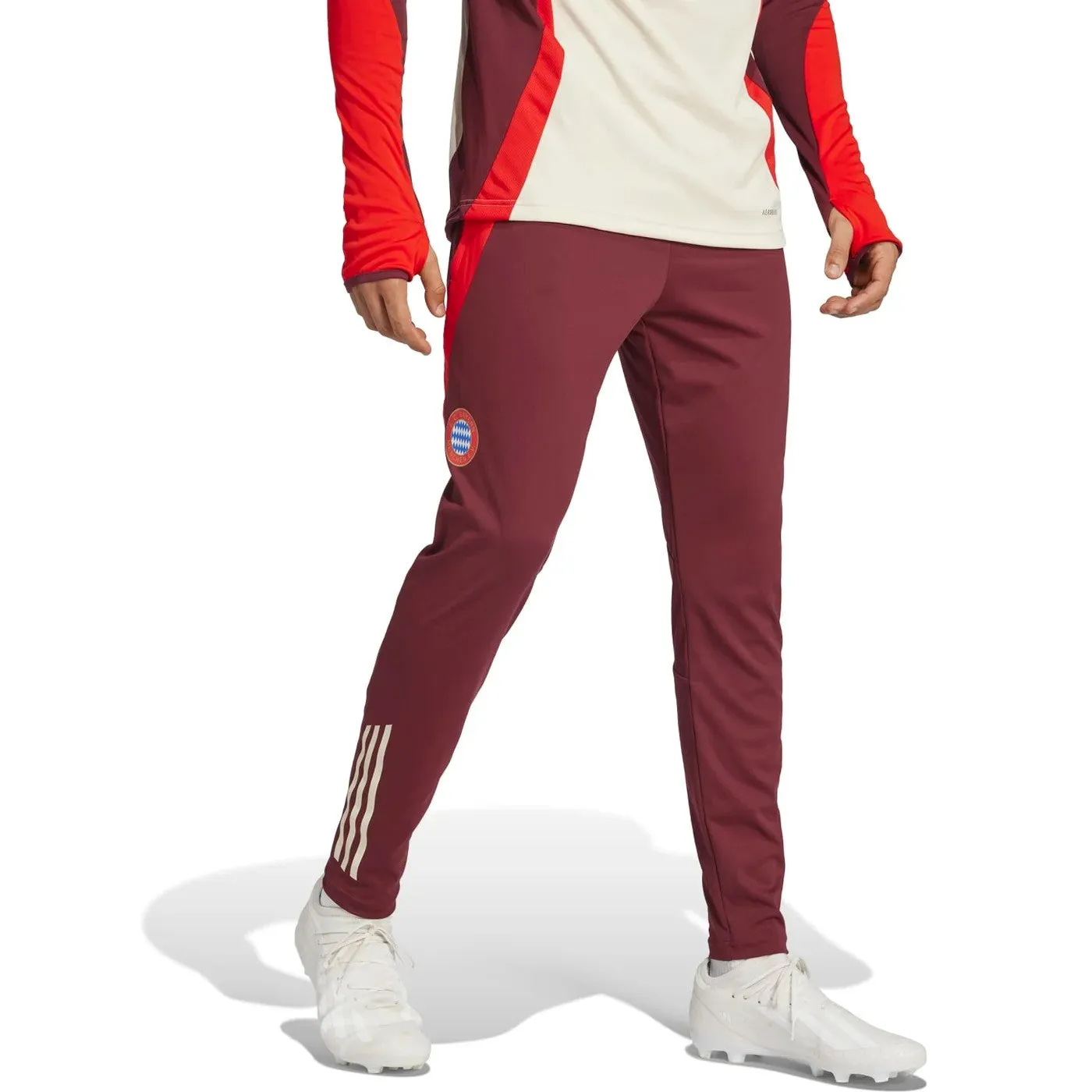 Bayern Munich UCL training technical tracksuit 2024/25 - Adidas