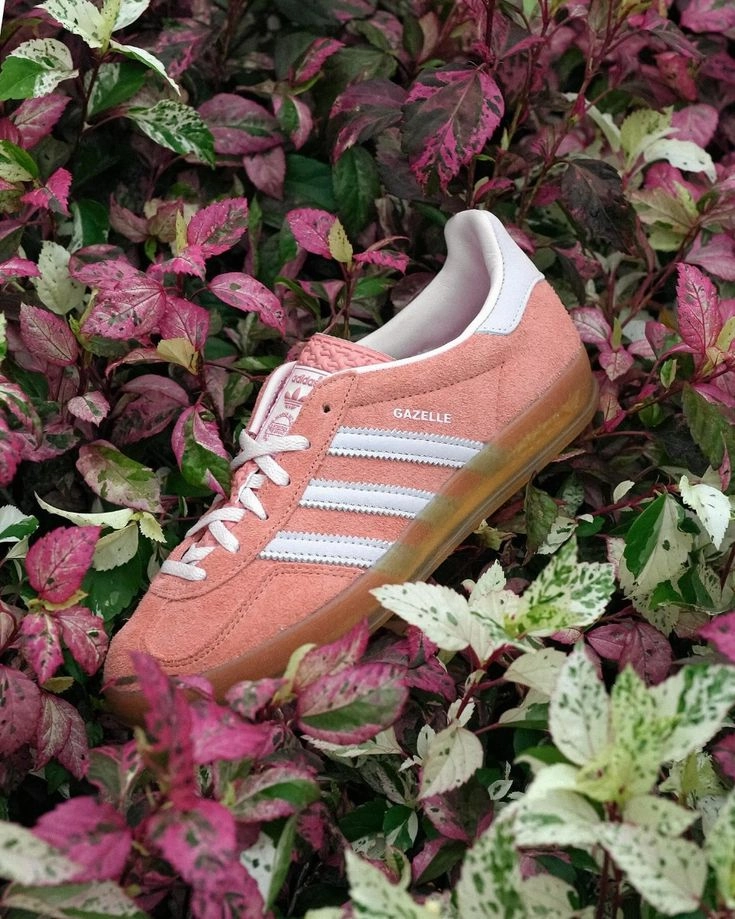 Adidas Gazelle Indoor Wonder clay Karma Sneaks