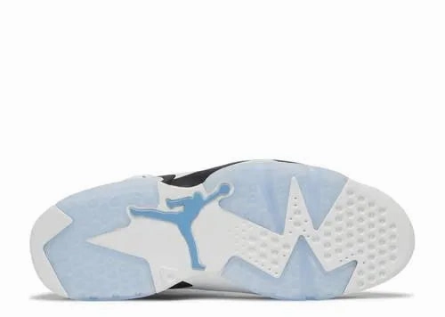 Park Picnic Air Jordan 6 UNC