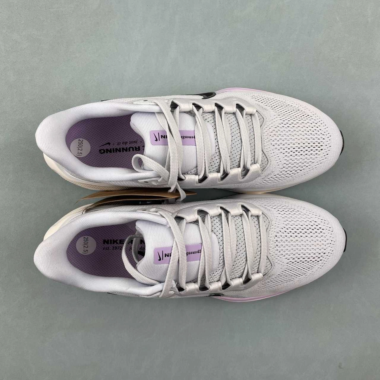 Air Zoom Pegasus 41 Lilac Bloom Pure Platinum Black Platinum Tint FD2723-004 Move Freely