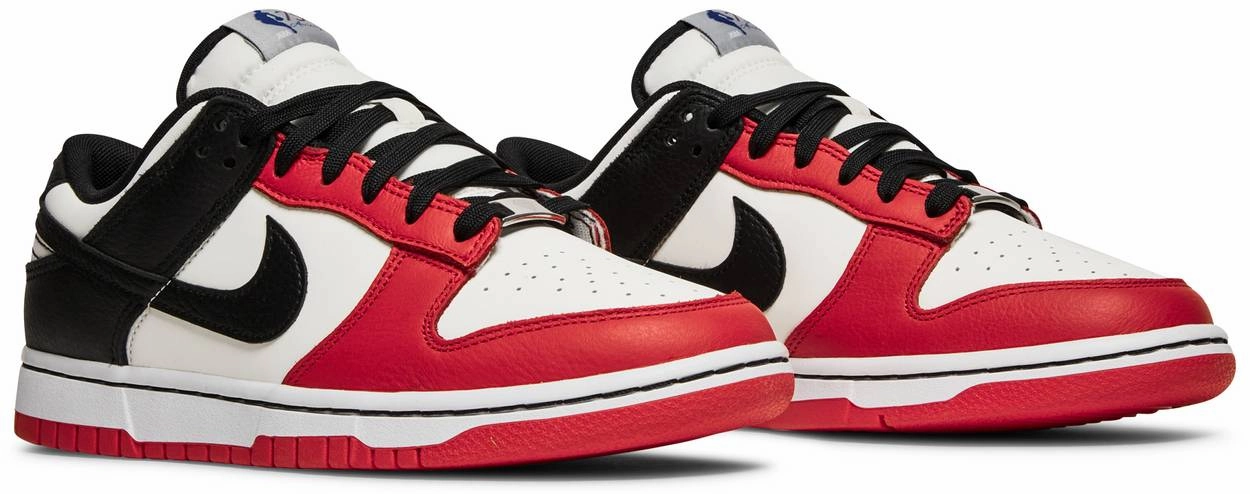 Performance Tech Nike Dunk Low NBA 75th Anniversary Chicago