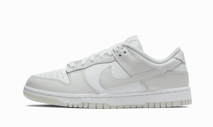 Nike Dunk Low Photon Dust Ergonomic Fit