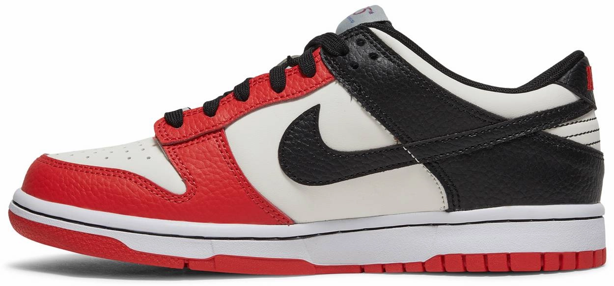 Go Anywhere Nike Dunk Low NBA 75th Anniversary Chicago GS