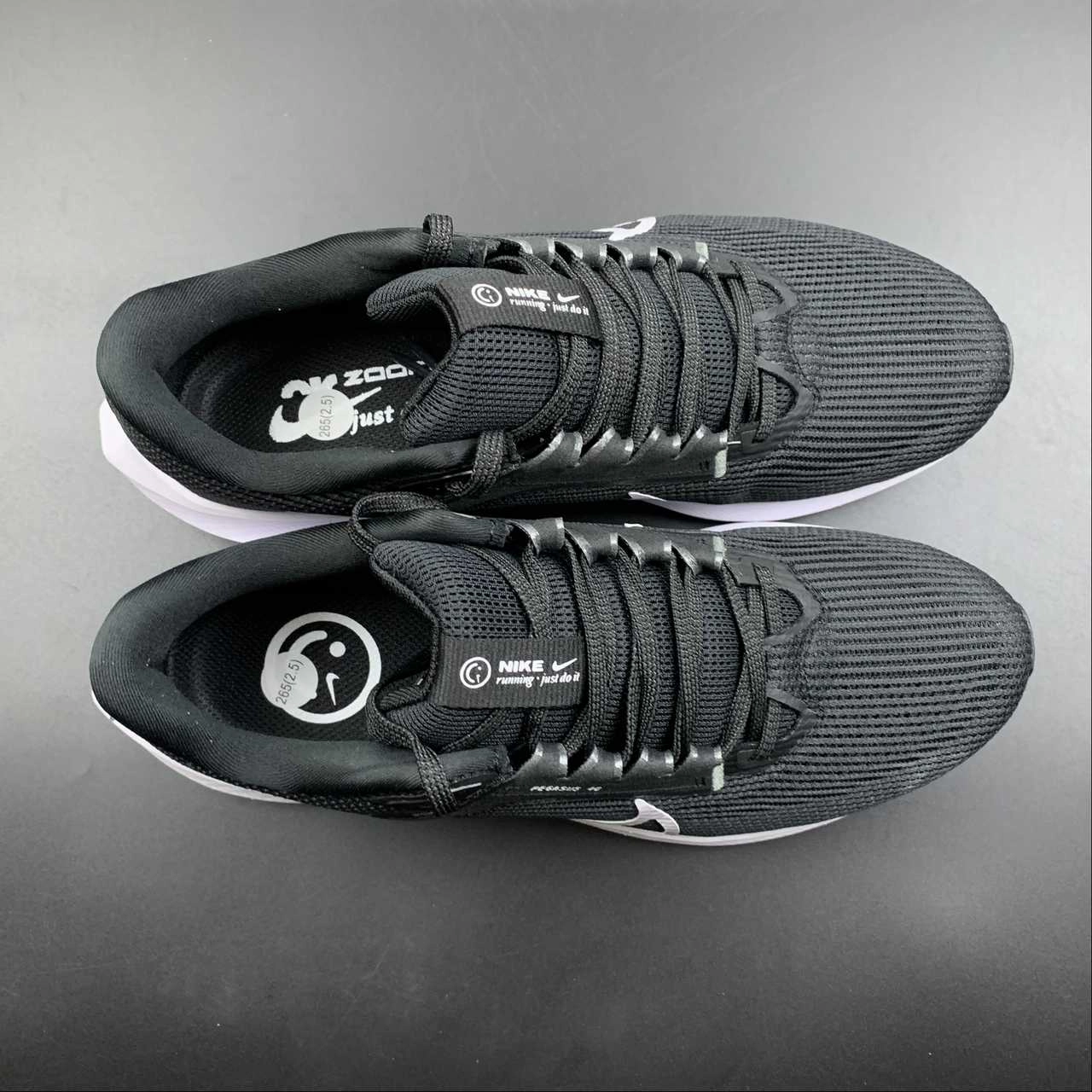 Anti Friction Air Zoom Pegasus 40 Black White DV3853-001