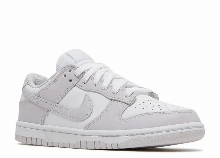 Daily Wear Nike Dunk Low Venice (W)
