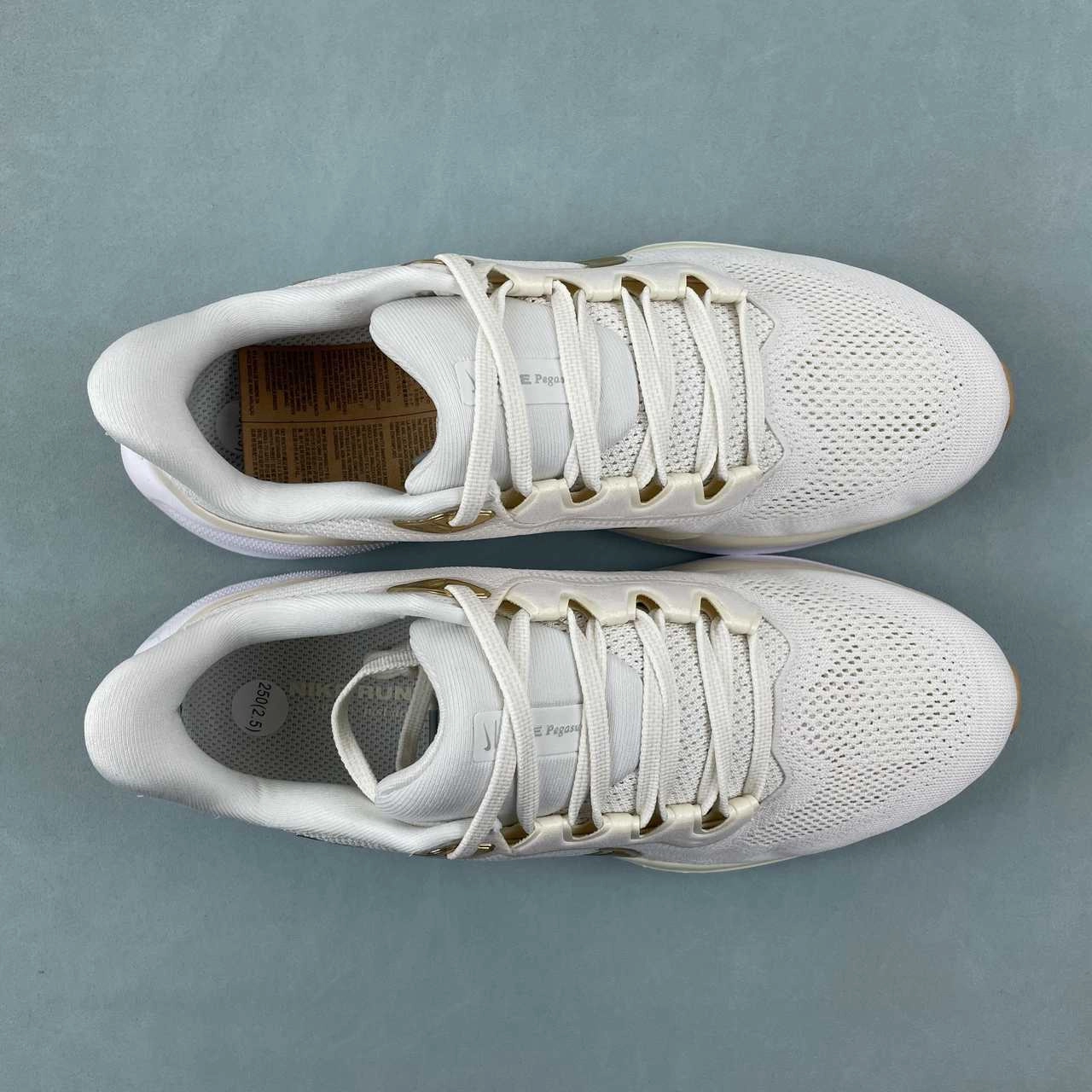 Sweat Mesh Air Zoom Pegasus 41 Light Pumice Metallic Gold FD2723-005