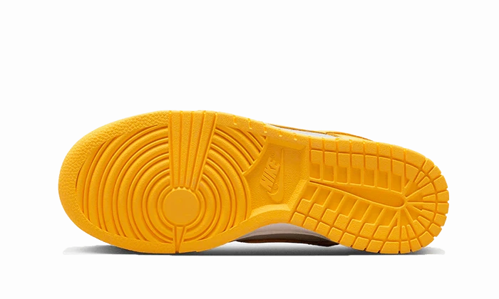 Nike Dunk Low Citron Pulse Torsion Plate