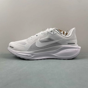 Light frame Air Zoom Pegasus 41 Pure Platinum Metallic Silver White FD2722-102