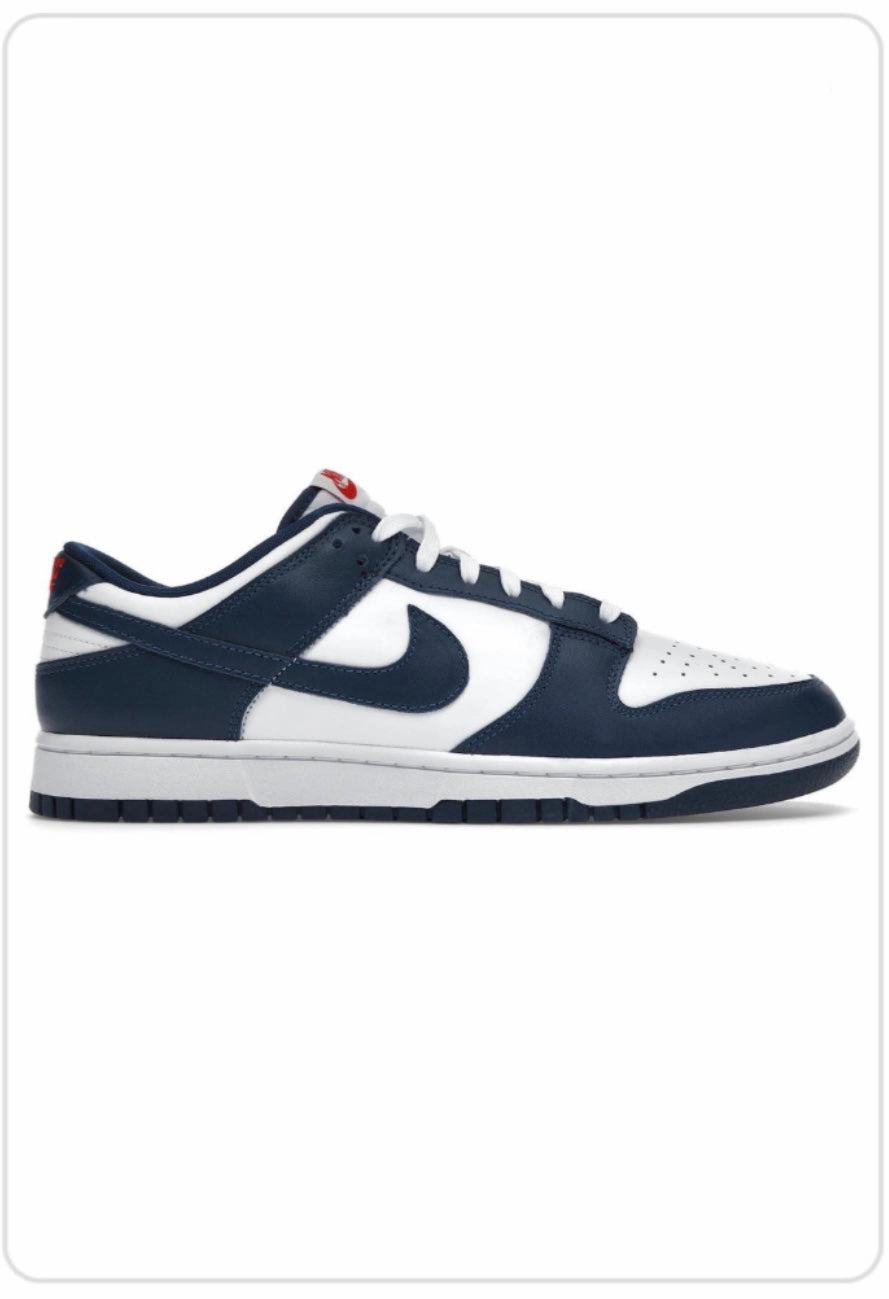 Clean Build Nike Dunk Low Valerian Blue