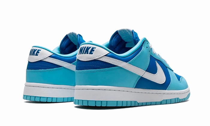 City Hustler Nike Dunk Low Retro Argon