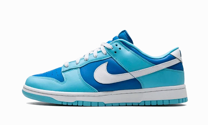 Easy Styling Nike Dunk Low Retro Argon