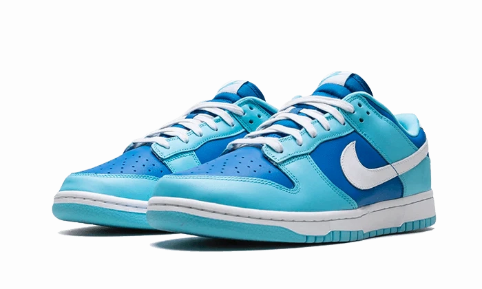 Multi Density Sole Quick Dry Material Nike Dunk Low Retro Argon
