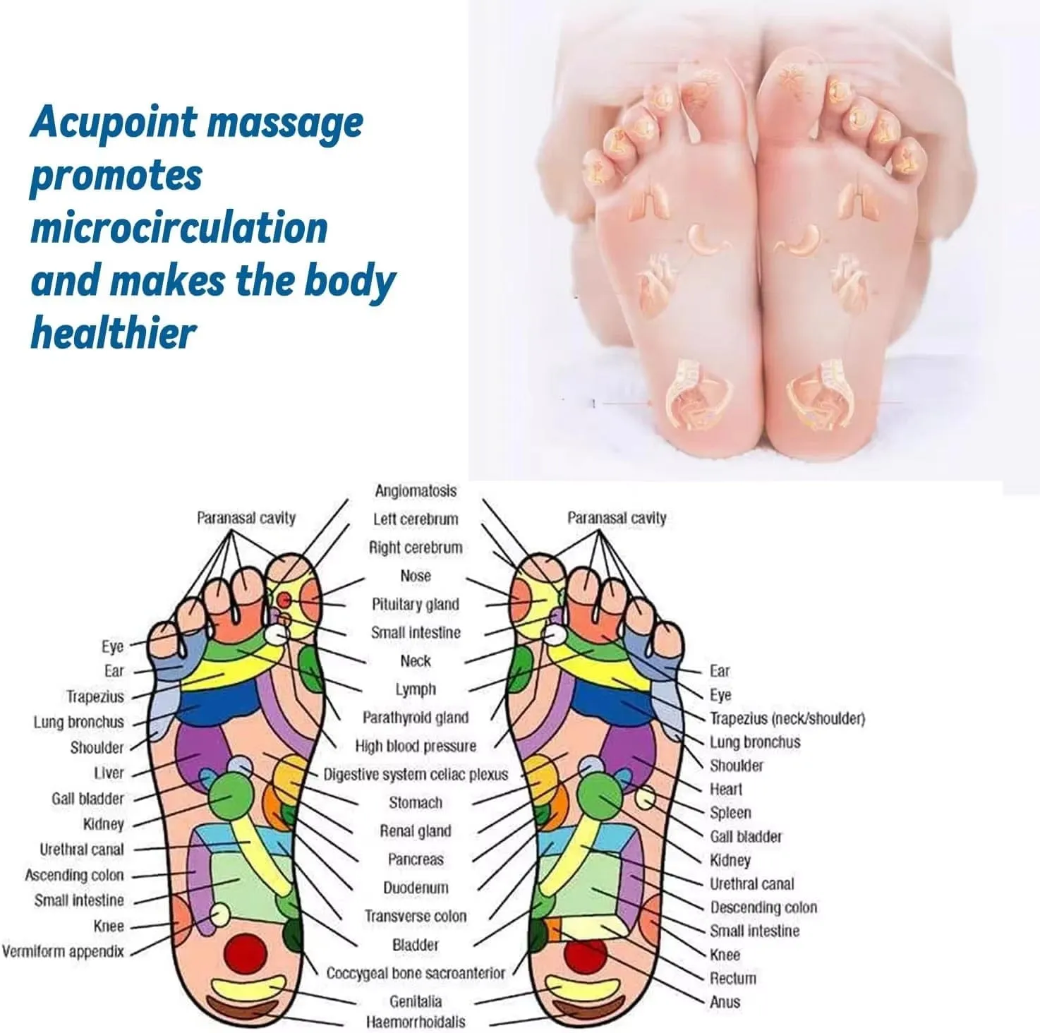MagnaSole™ – Magnetic Therapy Insoles for Pain Relief, Energy Boost & Weight Support!