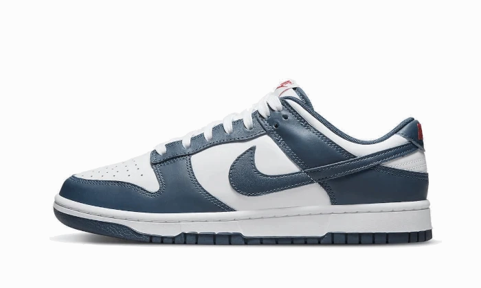 Heel Stabilizer Nike Dunk Low Valerian Blue