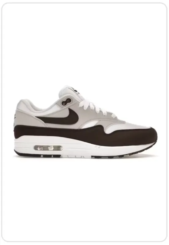 Nike Air Max 1 '87 Baroque Brown Dynamic Shoes running in a gorge area shoes