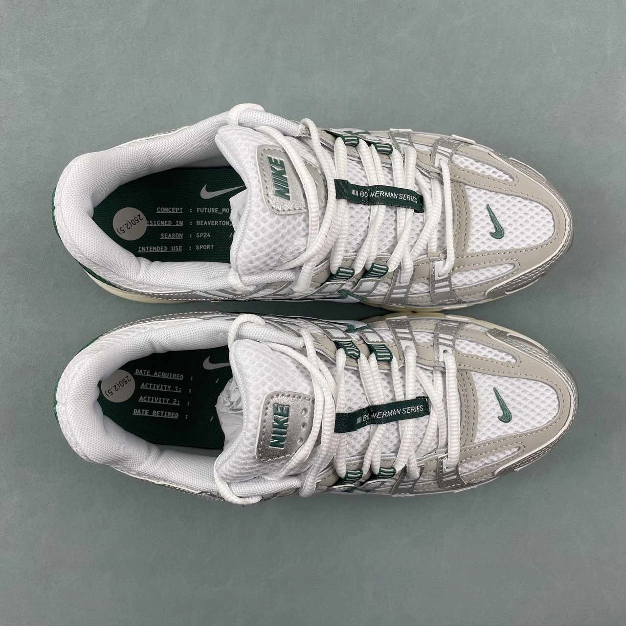 Elastic Nike P-6000 Premium Light Bone Bicoastal Green Metallic Silver HF4308-072