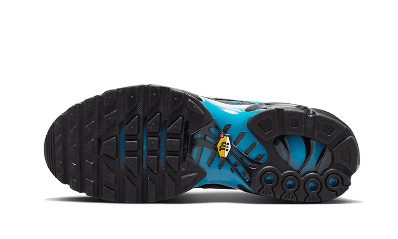 warm - up shoes Nike Air Max Plus Blue Gradient