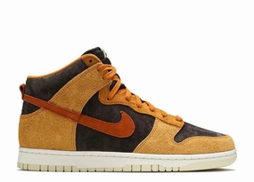 Everyday Ride urban walks Nike Dunk High Dark Russet