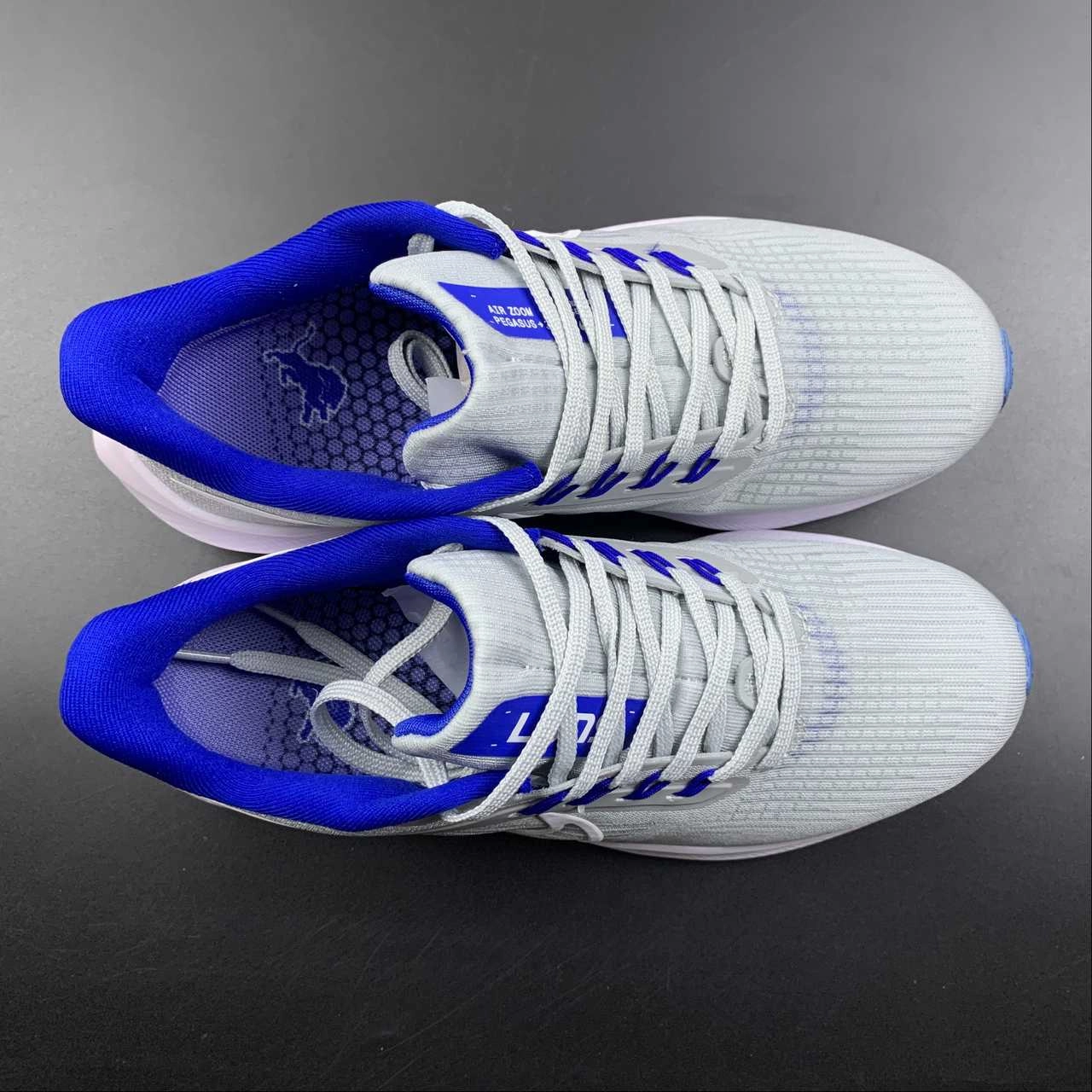 Sweat Session Air Zoom Pegasus 39 Detroit Lions Medium Silver Battle Blue DR2042-001