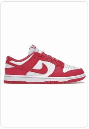 Nike Dunk Low Archeo Pink Sole Strength Flexible structure