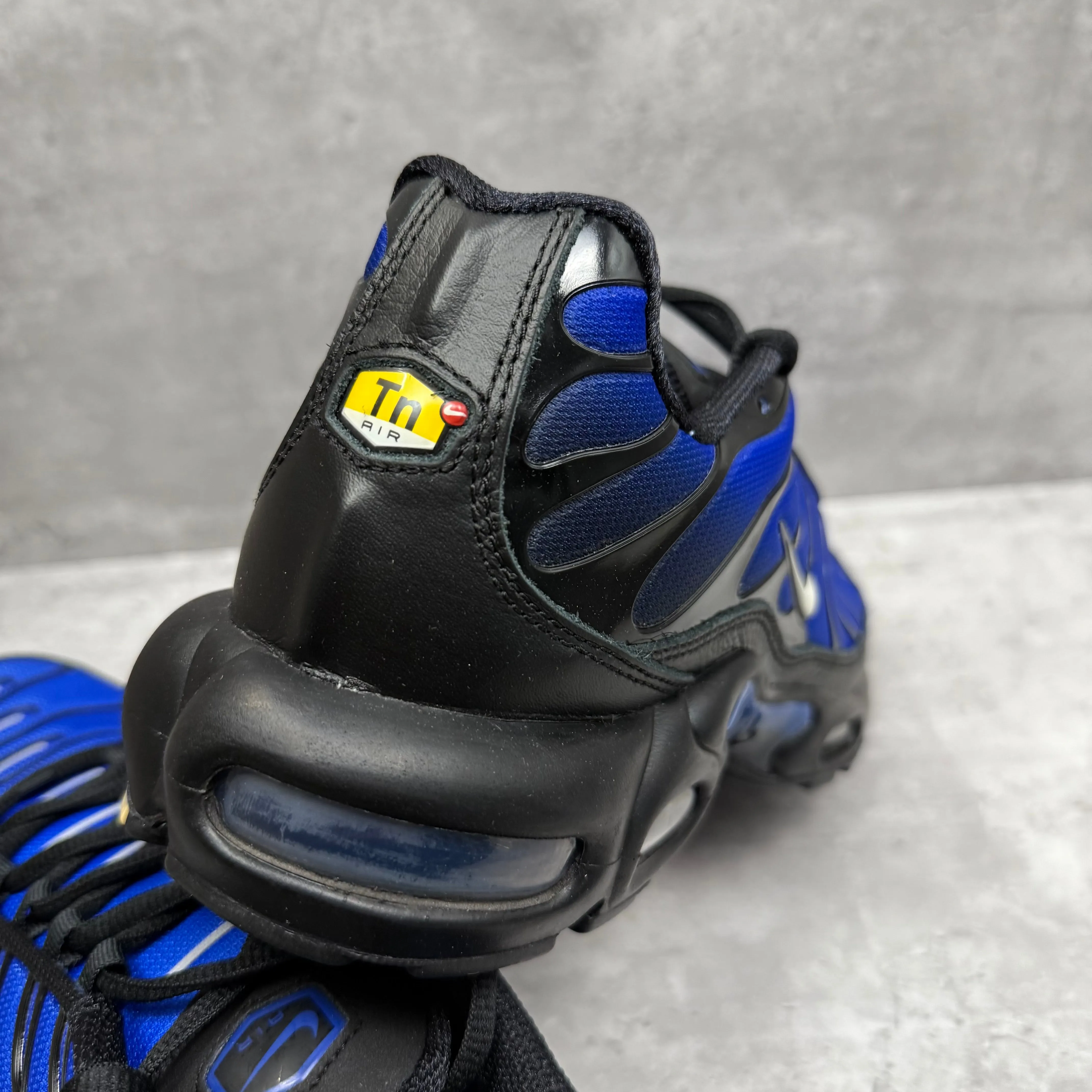 Nike Airmax Plus TN Racer Blue volleyball - compatible shoes