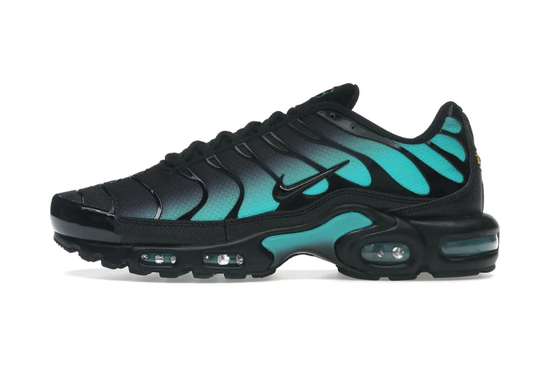 Break - in - free Nike Air Max Plus Black Dusty Cactus