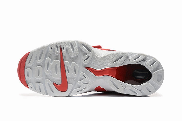 Air DT Max 96 endurance - built