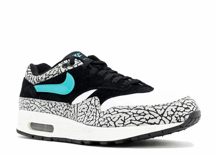 Nike Air Max 1 Atmos Elephant Sample 2007 simple design shoes running in a rowing studio shoes