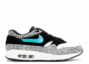 Nike Air Max 1 Atmos Elephant Sample 2007 triathlon running shoes Slow running