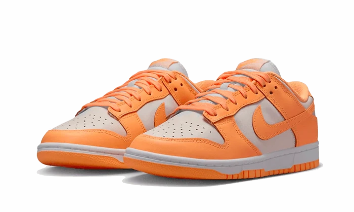 Dynamic Flex Neck Nike Dunk Low Peach Cream