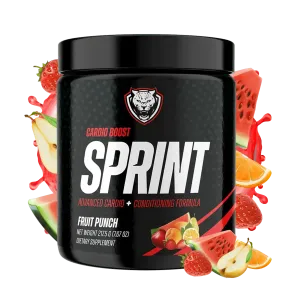 SPRINT