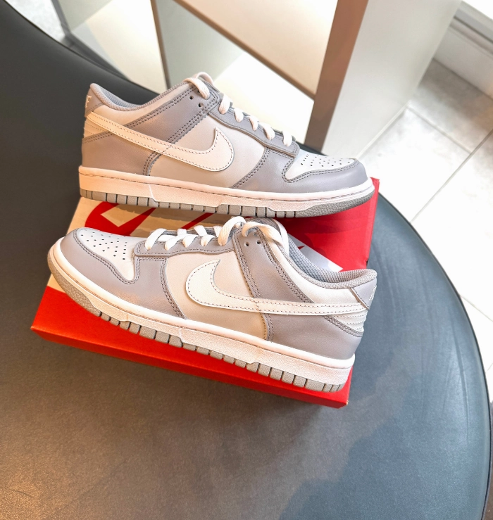 Nike Dunk Low Two-Toned Grey (GS) Shock Dispersing Plate Wear comfort