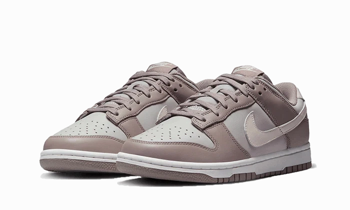 Chill Mode AntiFriction Nike Dunk Low Bone Beige
