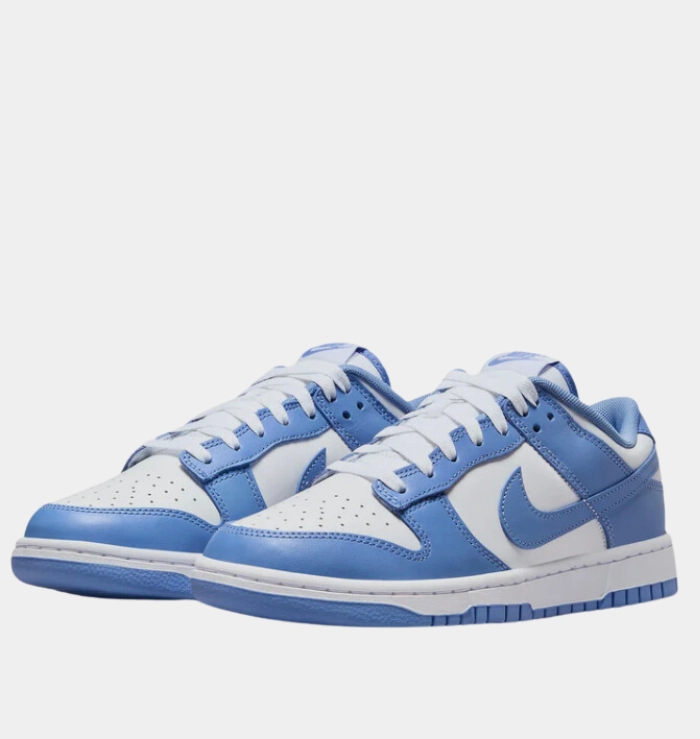 Nike Dunk Low Polar Blue Responsive Foam Technology All Time