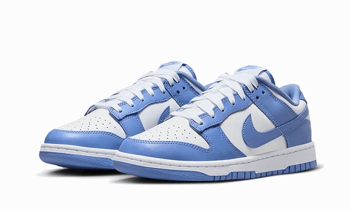 Foot Health Support Cushion Nike Dunk Low Polar Blue