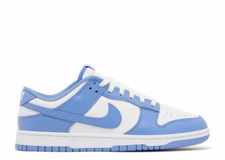 Nike Dunk Low Polar Blue Toe Guard Protection