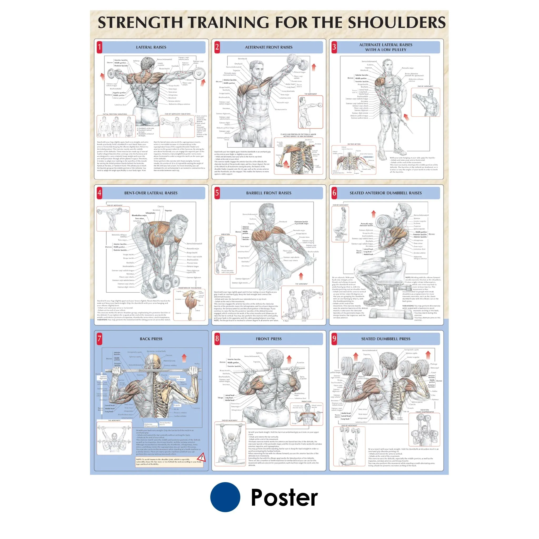 Strength Training for Shoulders Poster