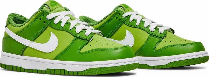 Elastic laces Multi-Terrain Nike Dunk Low Chlorophyll GS