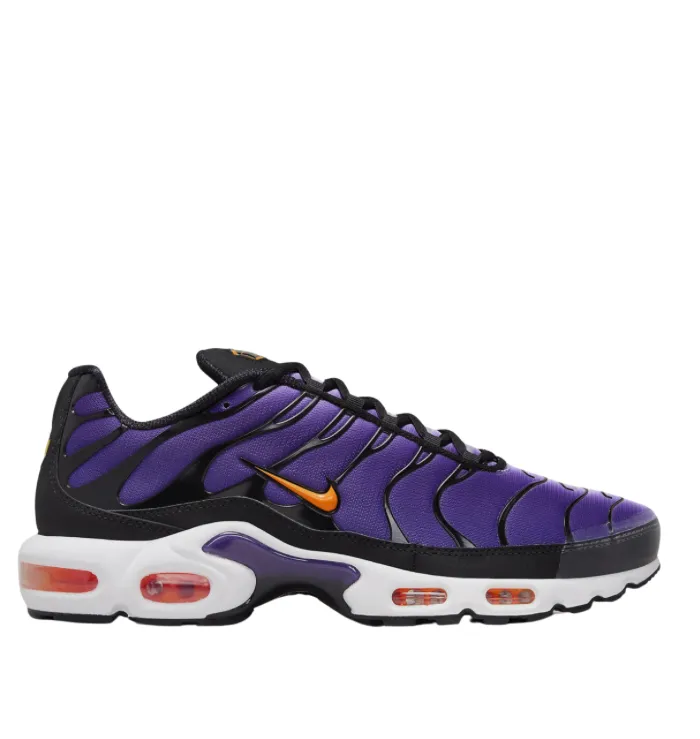 Costume Run advanced Nike TN Air Max Plus OG Voltage Purple (2024)