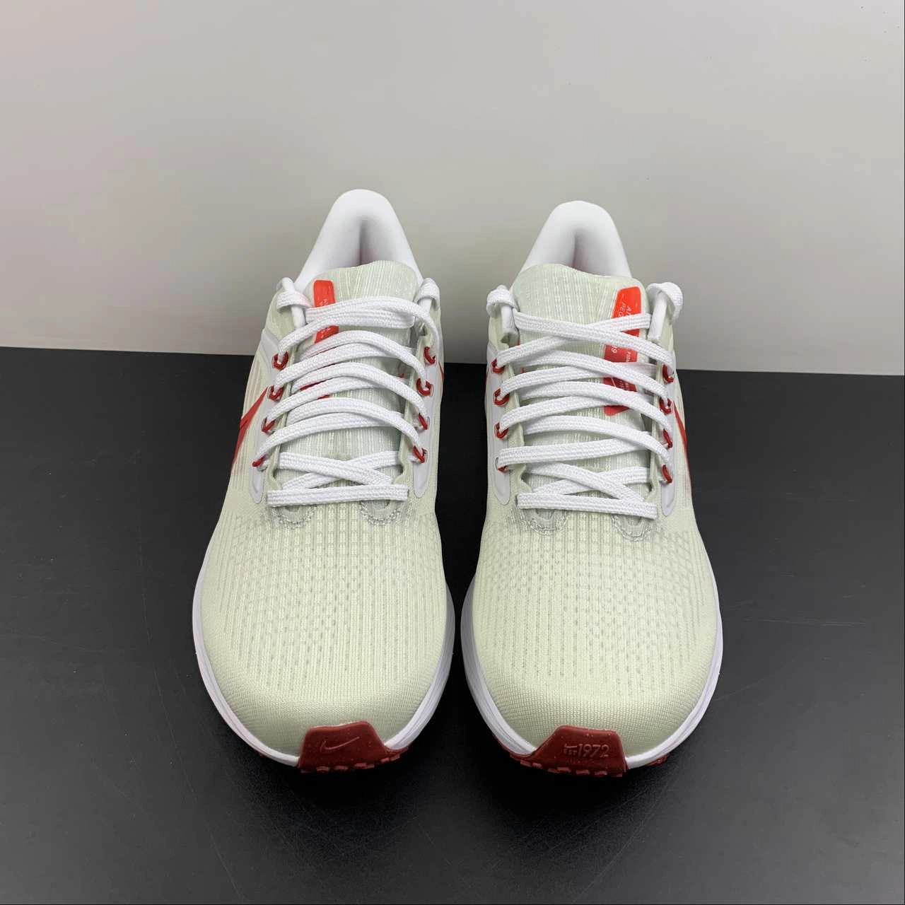 Air Zoom Pegasus 39 White University Red DH4072-103 Work Break