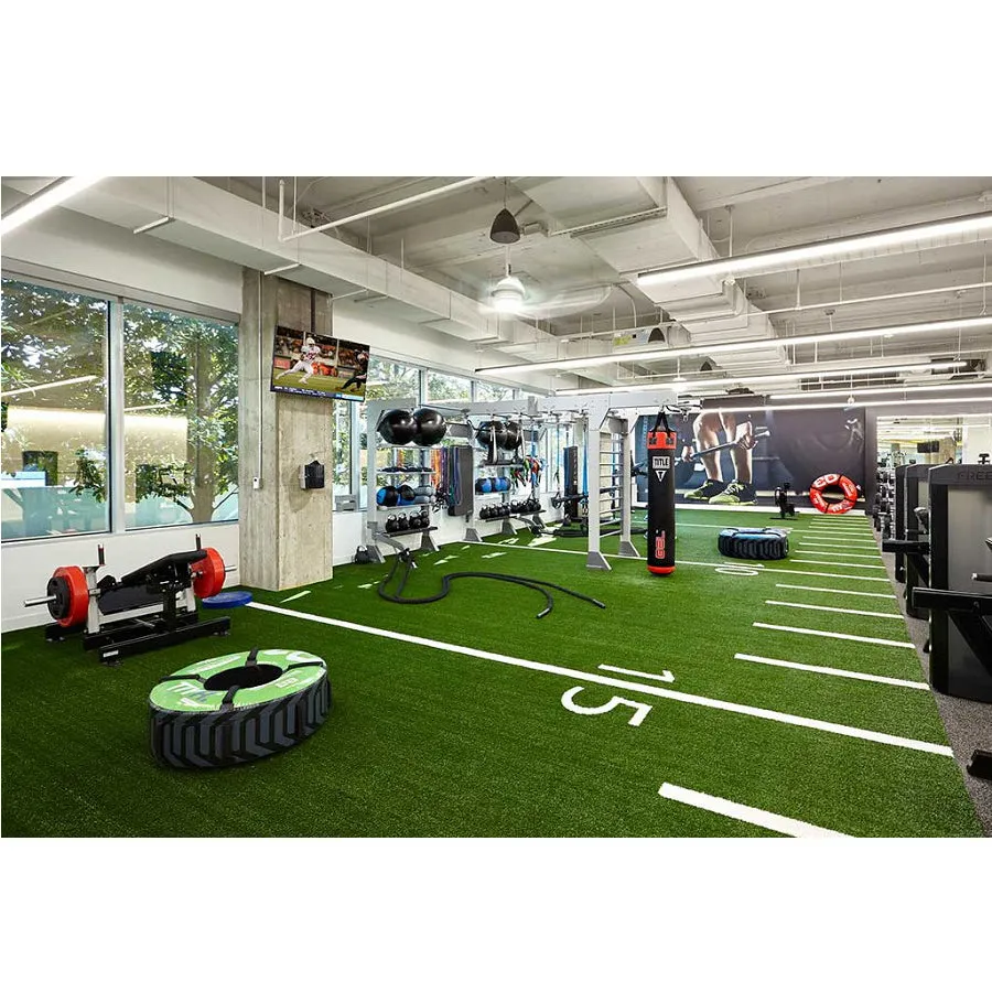 Warrior Firm Turf